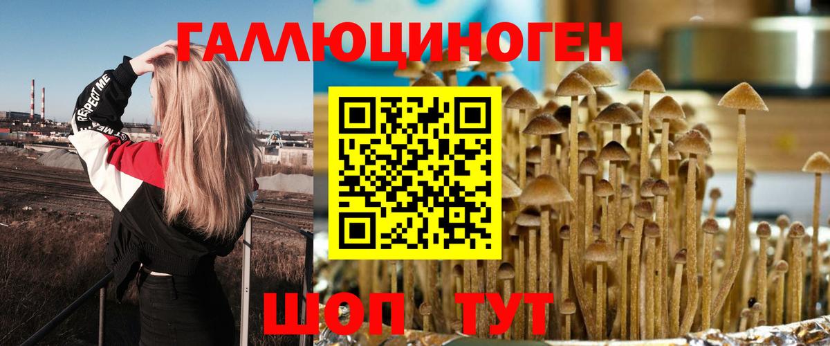 Псилоцибиновые грибы мицелий Канск